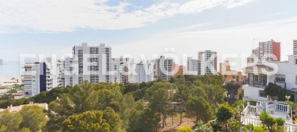 5 Schlafzimmer Haus in Cullera, Spain, Nr. 66333 10