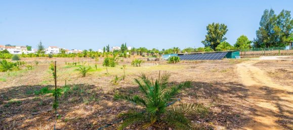 7 bedrooms House in Mexilhoeira Grande, Portugal No. 100709 45