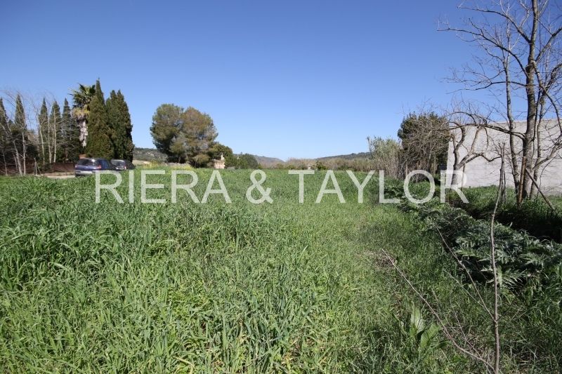 3500m² Land in Petra, Spain No. 196457