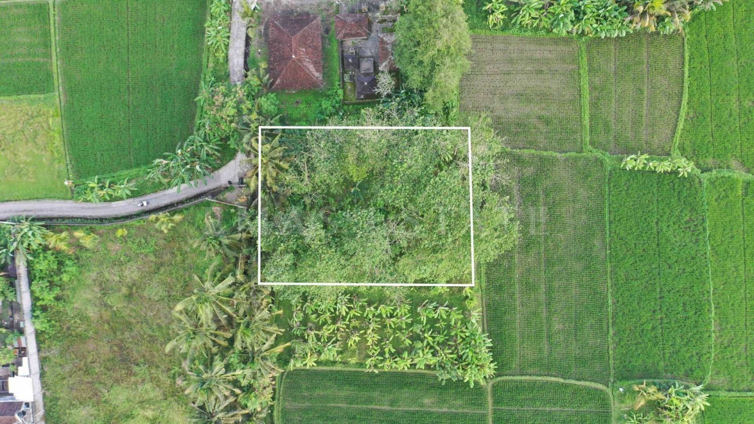  Land in Ubud, Indonesia No. 1154