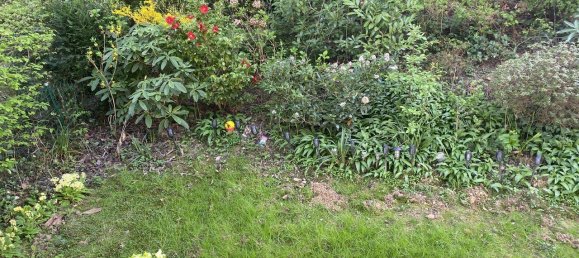 4-Zimmer Wohnung in Mettmann, Germany, Nr. 268291 20