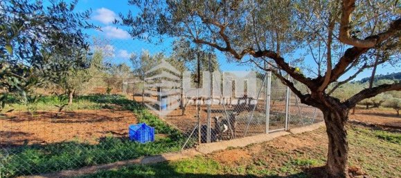 1 chambre Maison à Segorbe, Spain No. 150434 8