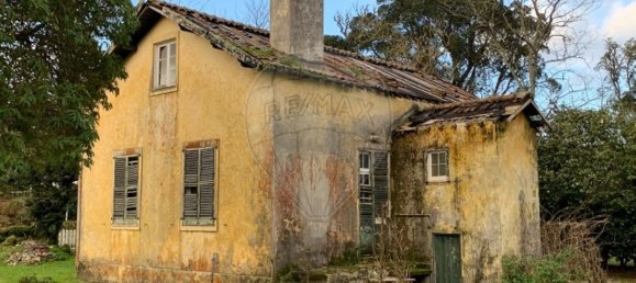 8 chambres Maison à Ponta Delgada, Portugal No. 166319 6
