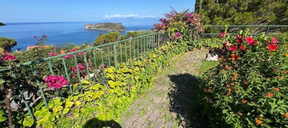 5 rooms Villa in San Nicola Arcella, Italy No. 281204 31