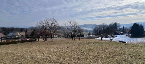 Grundstück in Ehrenhausen an der Weinstraße, Austria 2154m², Nr. 78678 6