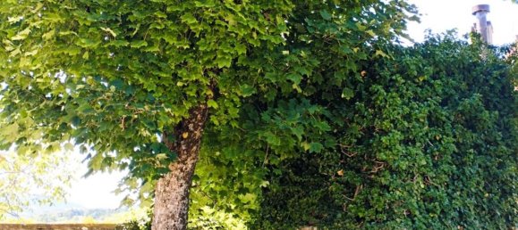 8-salle Villa à Monghidoro, Italy No. 92472 29