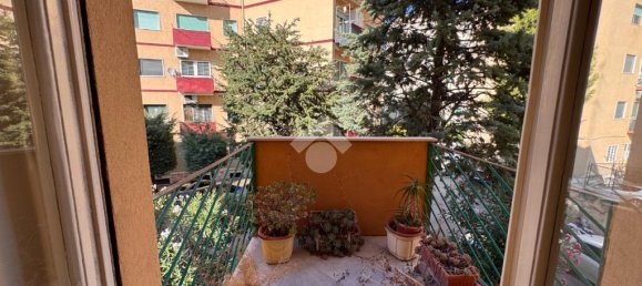 2 غرف نوم شقة في Bari, Italy رقم 264000 16