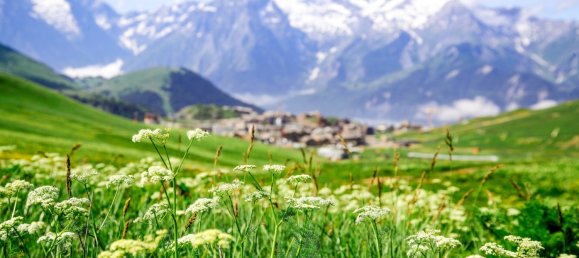 2 bedrooms Apartment in Huez, France No. 238 7