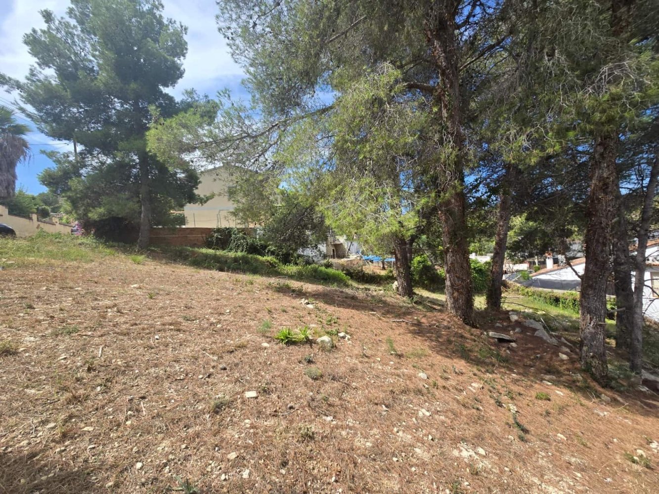  قطعة أرض في Barcelona, Spain رقم 246316