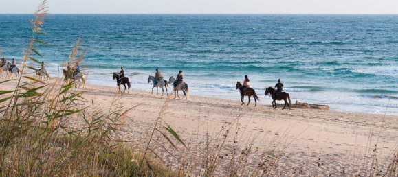 2 غرف نوم شقة في Jerez de la Frontera, Spain رقم 146153 17