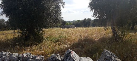 Studio in Castellana Grotte, Italy No. 254275 2