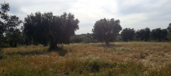 Studio in Castellana Grotte, Italy No. 254275 3