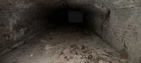 Gewerbliche Immobilie in Rudolfsheim-Funfhaus, Austria 388m², Nr. 204554 23