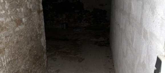 Gewerbliche Immobilie in Rudolfsheim-Funfhaus, Austria 388m², Nr. 204554 14