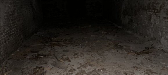 Gewerbliche Immobilie in Rudolfsheim-Funfhaus, Austria 388m², Nr. 204554 15