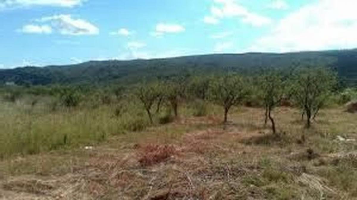  Land in Cordoba, Argentina No. 48457