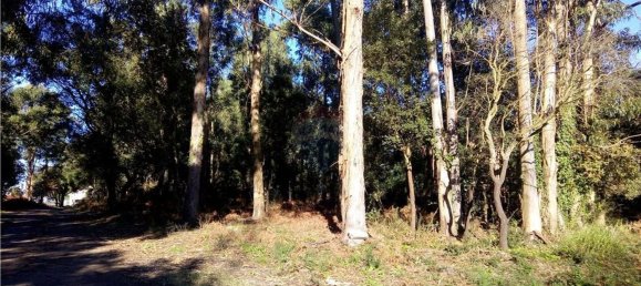 Terreno em São Félix da Marinha, Portugal 23000 m² N.º 37631 3