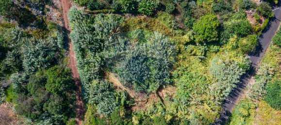  قطعة أرض في Santana, Portugal 1690متر مربع رقم 92660 11