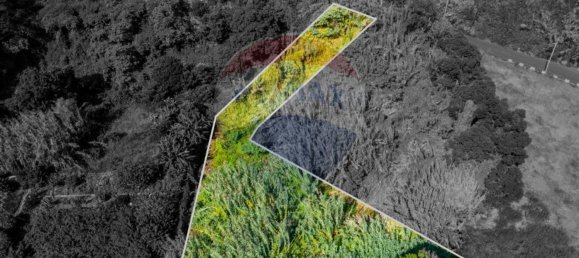  قطعة أرض في Santana, Portugal 1690متر مربع رقم 92660 9