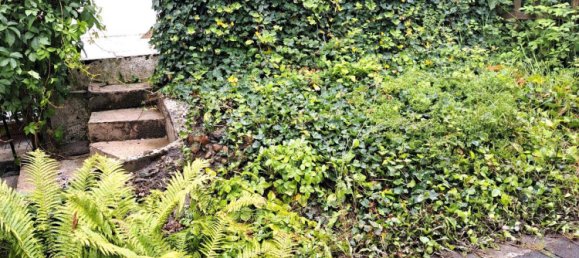 Apartamento de 1 dormitorio en Wolfsburg, Germany No. 228614 10