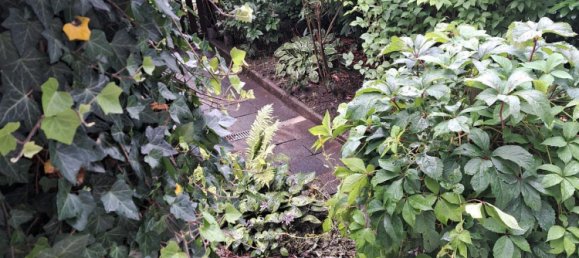 Apartamento de 1 dormitorio en Wolfsburg, Germany No. 228614 8