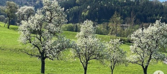 Grundstück in Randegg, Austria, Nr. 162774 4