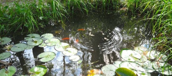 Bungalow T1 em Teltow-Flaming, Germany N.º 364083 18