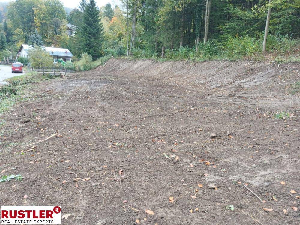 1240m² Land in Lilienfeld, Austria No. 28344