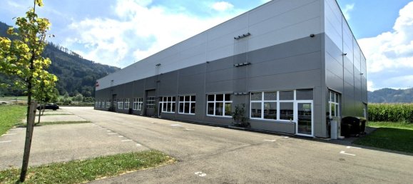 Gewerbliche Immobilie in Leoben, Austria 4017m², Nr. 222638 2