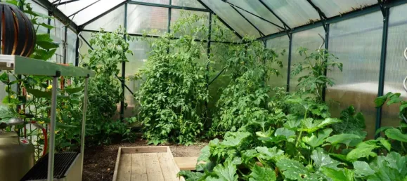 4 غرف نوم منزل في Neckar-Odenwald-Kreis, Germany رقم 220921 17