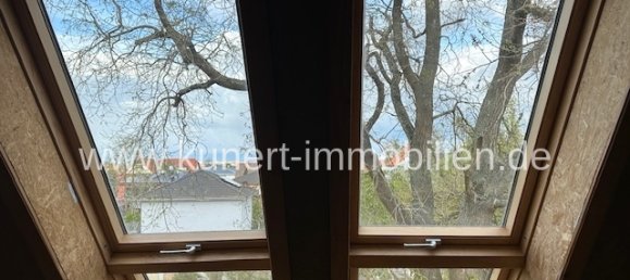 10 bedrooms Townhouse in Halle, Germany No. 155097 5