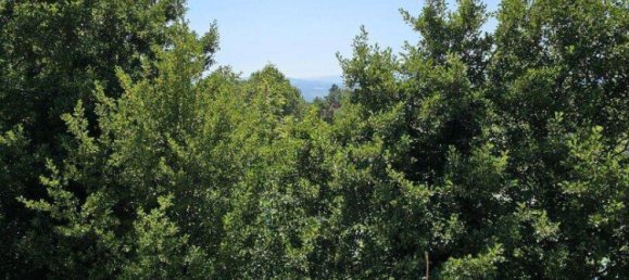 2غرفة شقة في Ternitz, Austria رقم 222917 5