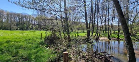 5 bedrooms House in Chassignolles, France No. 215055 25