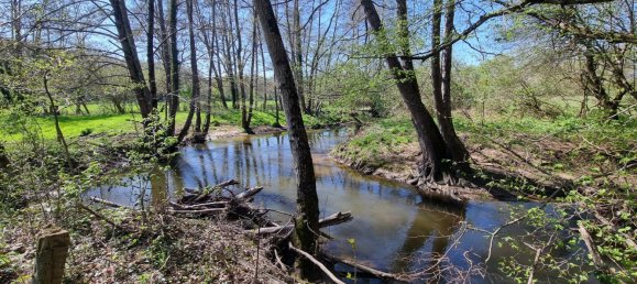 5 bedrooms House in Chassignolles, France No. 215055 20
