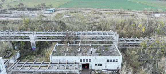 9954m² Land in Salzlandkreis, Germany No. 40786 30