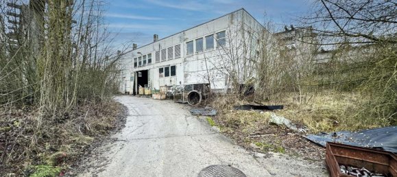 9954m² Land in Salzlandkreis, Germany No. 40786 29