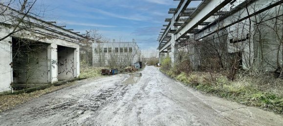 9954m² Land in Salzlandkreis, Germany No. 40786 9