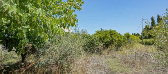 4 Schlafzimmer Villa in Alicante, Spain, Nr. 190456 21