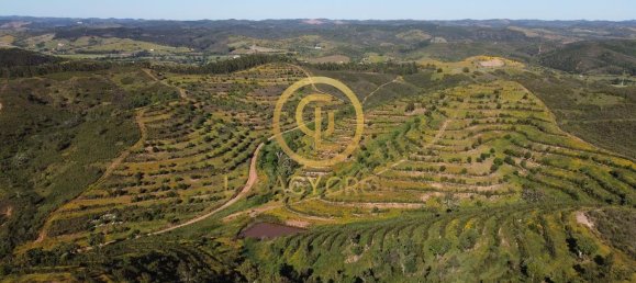 Земельный участок 156000м² в Сабойя, Португалия № 38136 4