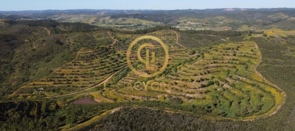 Земельный участок 156000м² в Сабойя, Португалия № 38136 5