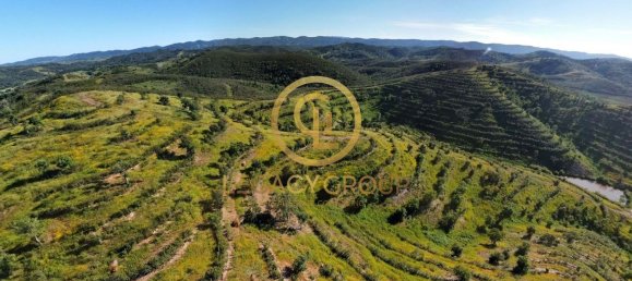 Земельный участок 156000м² в Сабойя, Португалия № 38136 11