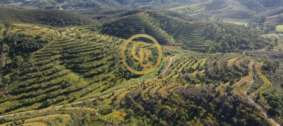 Земельный участок 156000м² в Сабойя, Португалия № 38136 3