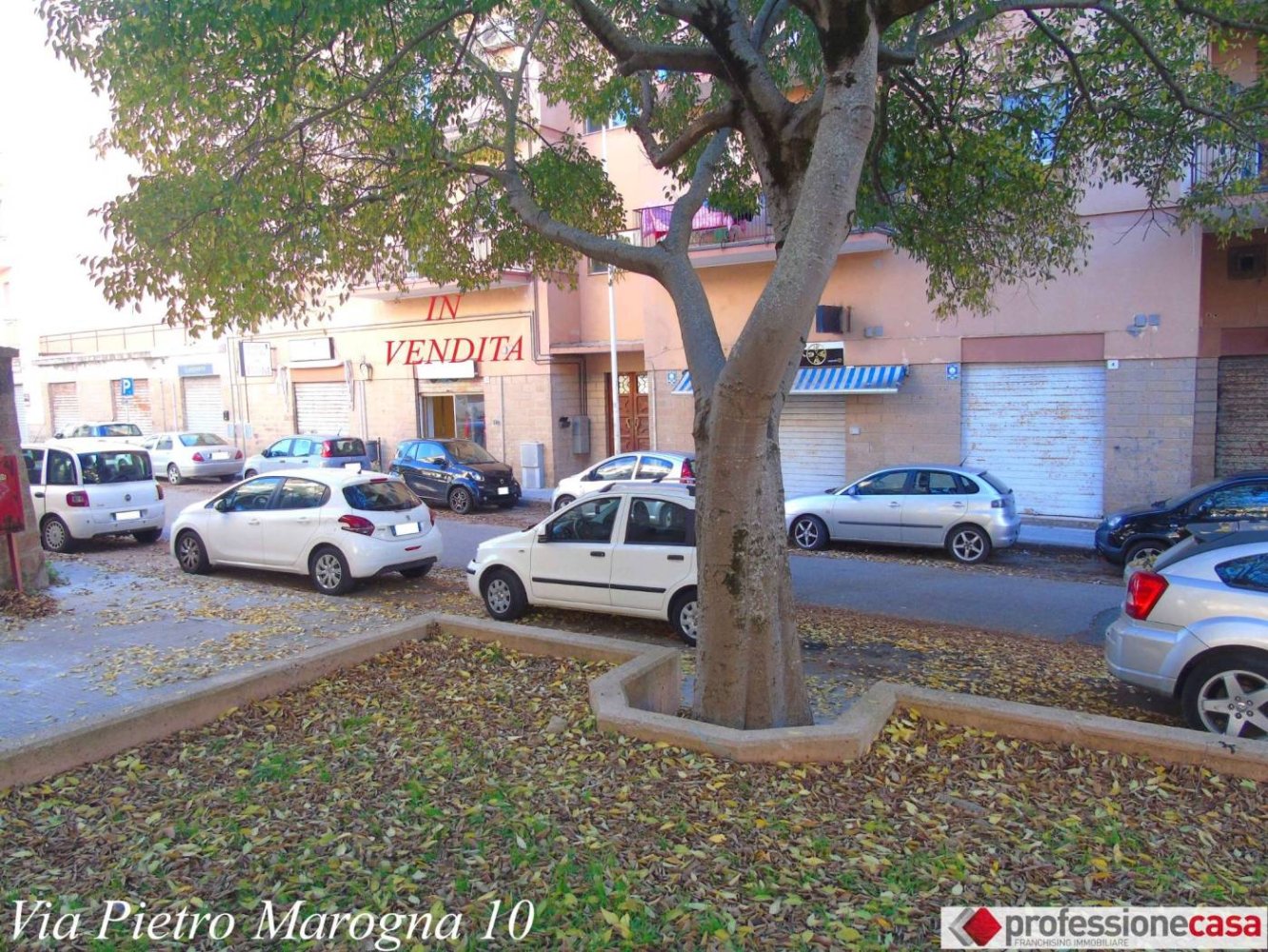 1 room Commercial property in Sassari, Italy No. 78128
