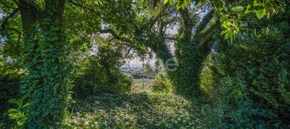 4 bedrooms House in Felgueiras, Portugal No. 86935 44