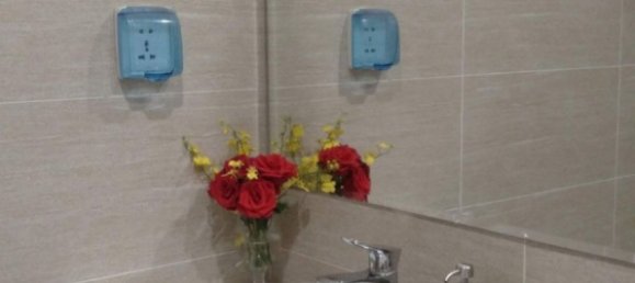 Studio in Thu Duc, Vietnam No. 15933 3