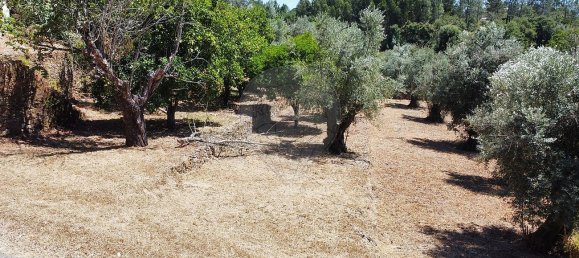 5 غرف نوم منزل في Igreja Nova do Sobral, Portugal رقم 17503 24