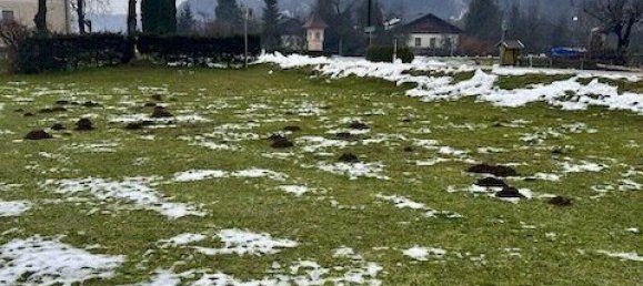 Земельный участок в Зиттерсдорф, Австрия № 132085 4