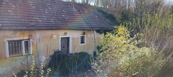 3 rooms House in Hofamt Priel, Austria No. 38085 10