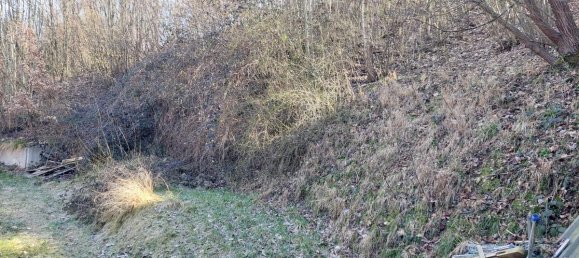 3 rooms House in Hofamt Priel, Austria No. 38085 4