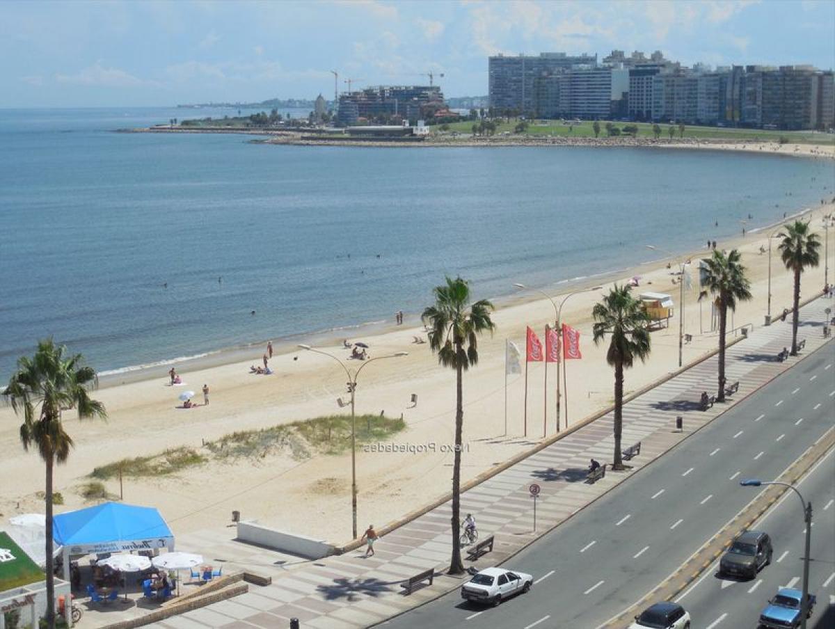 4 bedrooms Apartment in Montevideo, Uruguay No. 292